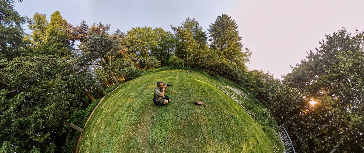 A Virtual walk in the park: Gimbornhof in Zevenaar