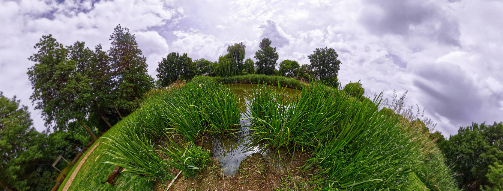 Park Nieuweling - Duiven