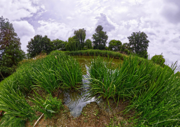 Park Nieuweling - Duiven