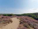 Herikhuizerveld aug21 07