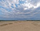 Kootwijkerzand aug21 12