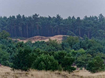 Kootwijkerzand aug21 14