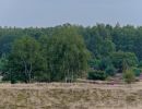 Kootwijkerzand aug21 19