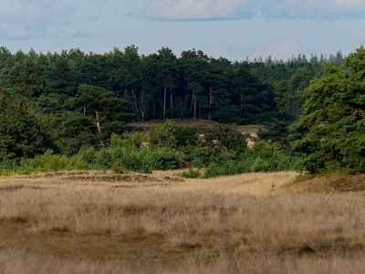 Kootwijkerzand aug21 22