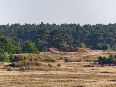 Kootwijkerzand aug21 31