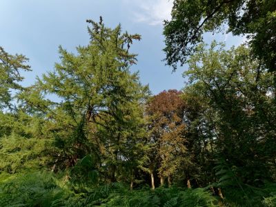 Byvanck 9aug20 35
