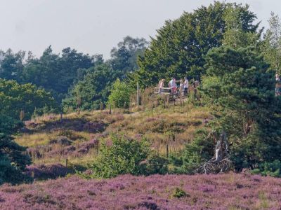 Herikhuizerveld aug21 18