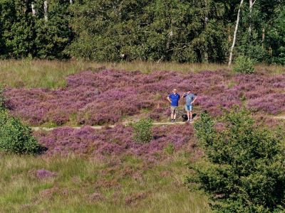 Herikhuizerveld aug21 19
