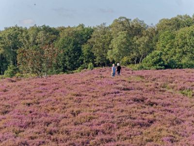 Herikhuizerveld aug21 20