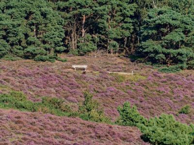 Herikhuizerveld aug21 22