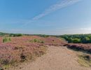 Herikhuizerveld aug21 24