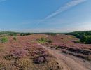 Herikhuizerveld aug21 26