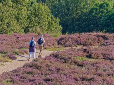 Herikhuizerveld aug21 27