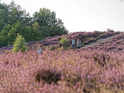 Herikhuizerveld aug21 38