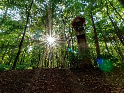 Byvanck 2aug20 12