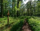 Byvanck 2aug20 18