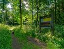 Byvanck 2aug20 37