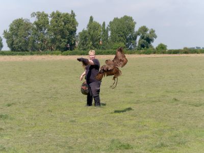 BirdOfBakker jul20 30