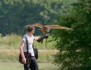 BirdOfBakker jul20 31