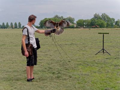 BirdOfBakker jul20 47