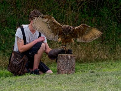 BirdOfBakker jul20 53