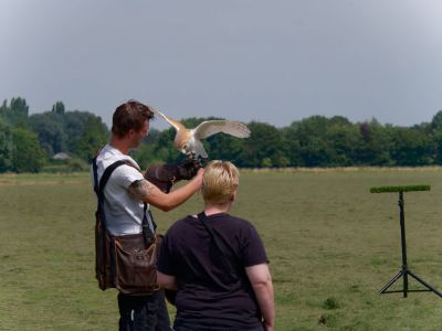 BirdOfBakker jul20 104