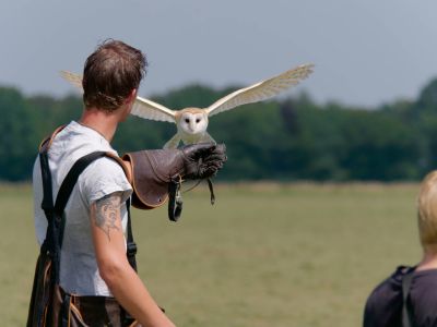 BirdOfBakker jul20 105