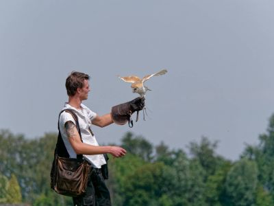 BirdOfBakker jul20 106
