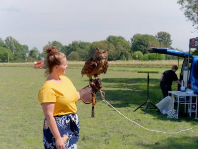 BirdOfBakker jul20 72