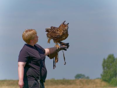 BirdOfBakker jul20 73