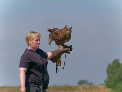 BirdOfBakker jul20 74