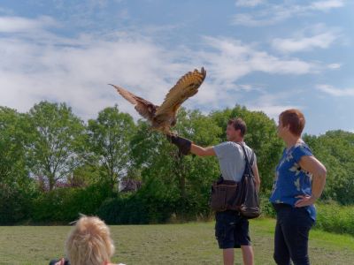 BirdOfBakker jul20 78