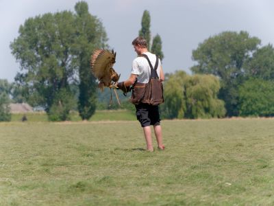 BirdOfBakker jul20 80