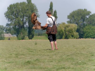 BirdOfBakker jul20 81