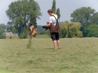BirdOfBakker jul20 82