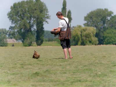 BirdOfBakker jul20 83