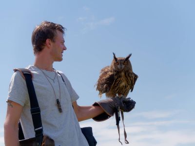 BirdOfBakker jul20 87