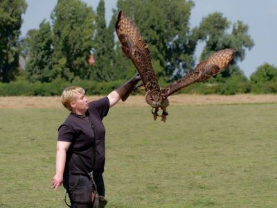 BirdOfBakker jul20 96