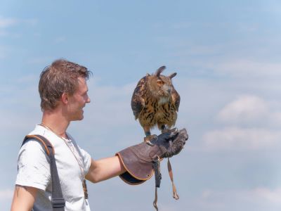 BirdOfBakker jul20 98