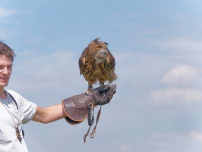 BirdOfBakker jul20 99