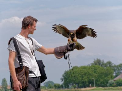BirdOfBakker jul20 116