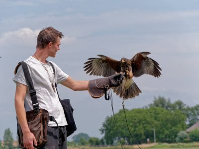BirdOfBakker jul20 117