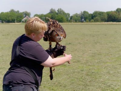 BirdOfBakker jul20 142