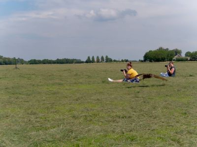 BirdOfBakker jul20 144