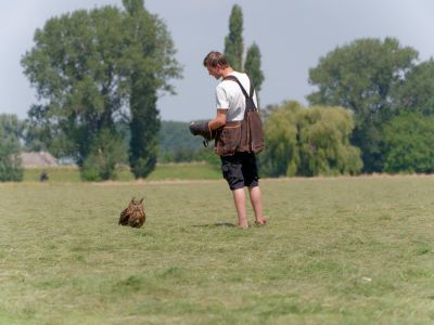 BirdOfBakker jul20 146