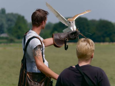 BirdOfBakker jul20 154