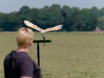 BirdOfBakker jul20 157