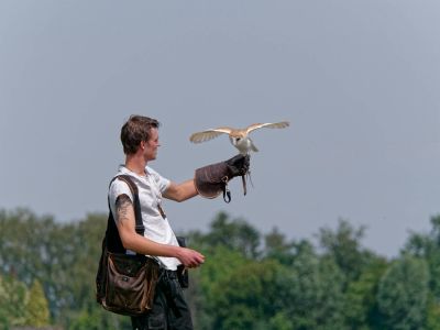 BirdOfBakker jul20 159