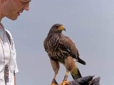 BirdOfBakker jul20 171