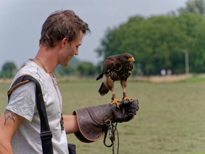 BirdOfBakker jul20 174